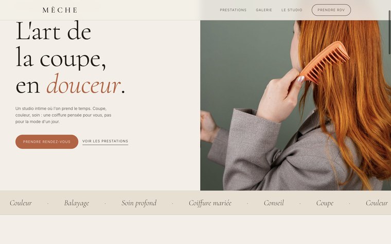 Aperçu du concept MÈCHE : deux panneaux crème et sauge, portrait au peigne